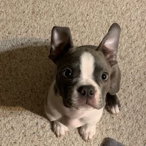 Meet your Posher, Nicole